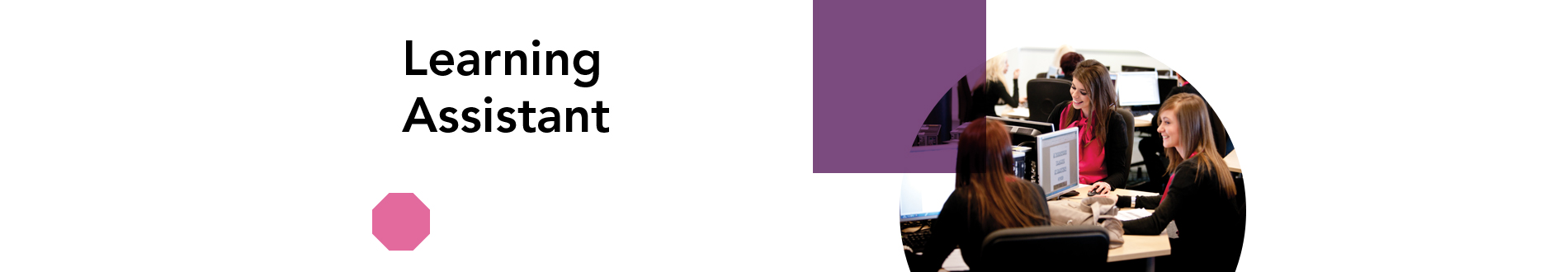 Learning Assistant E portfolio System City Guilds